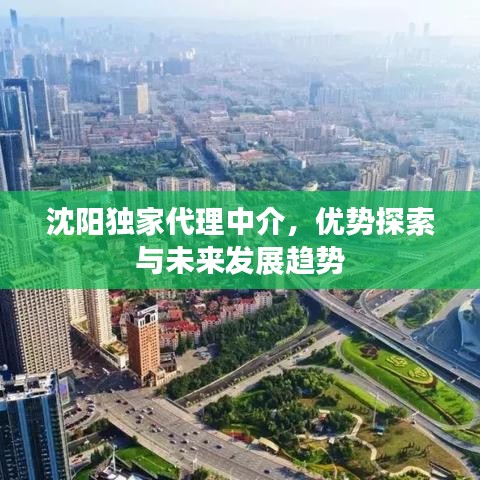 沈阳独家代理中介，优势探索与未来发展趋势