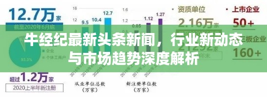 牛经纪最新头条新闻，行业新动态与市场趋势深度解析
