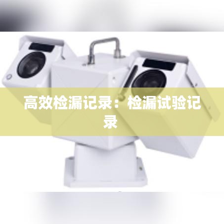 高效检漏记录：检漏试验记录 