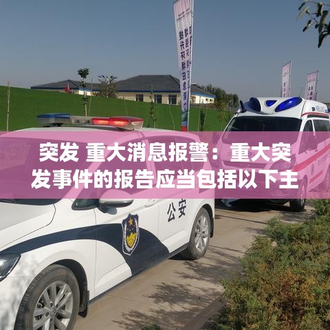 突发 重大消息报警：重大突发事件的报告应当包括以下主要内容 