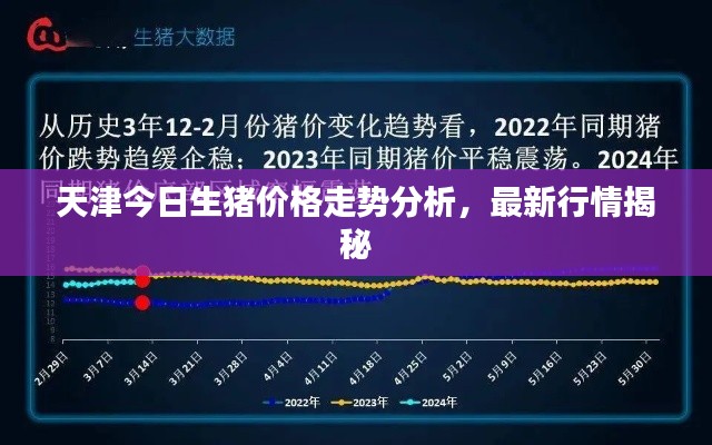 天津今日生猪价格走势分析，最新行情揭秘