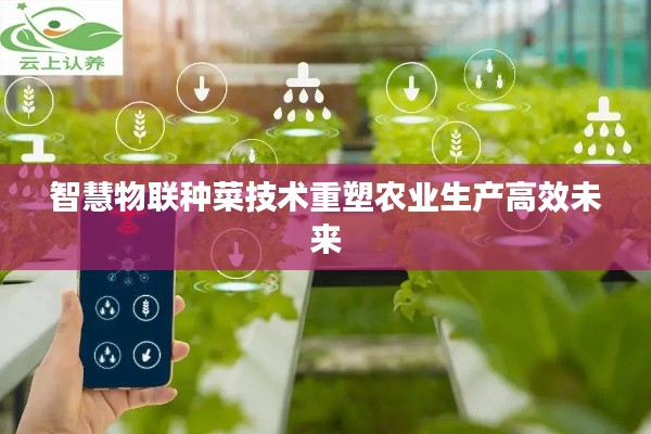 产品中心 第172页