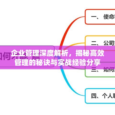 企业管理深度解析，揭秘高效管理的秘诀与实战经验分享