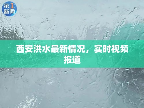 西安洪水最新情况，实时视频报道
