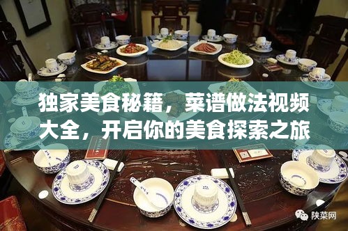 独家美食秘籍，菜谱做法视频大全，开启你的美食探索之旅