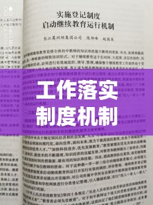 工作落实制度机制：制度机制落实方面 