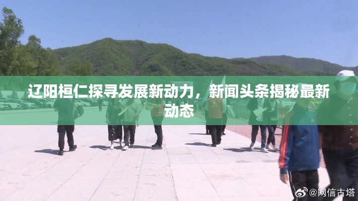 辽阳桓仁探寻发展新动力，新闻头条揭秘最新动态