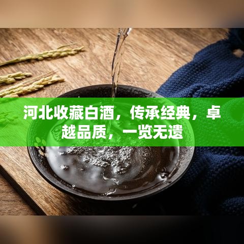 一往无前 第2页