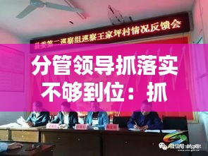 分管领导抓落实不够到位：抓落实不到位的原因 