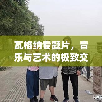 瓦格纳专题片，音乐与艺术的极致交融之美探索