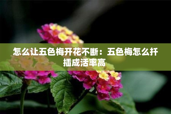 怀真抱素 第2页