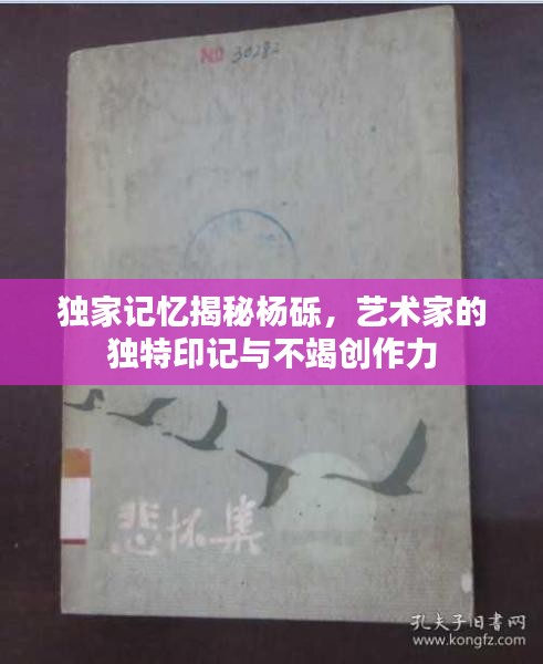 独家记忆揭秘杨砾，艺术家的独特印记与不竭创作力