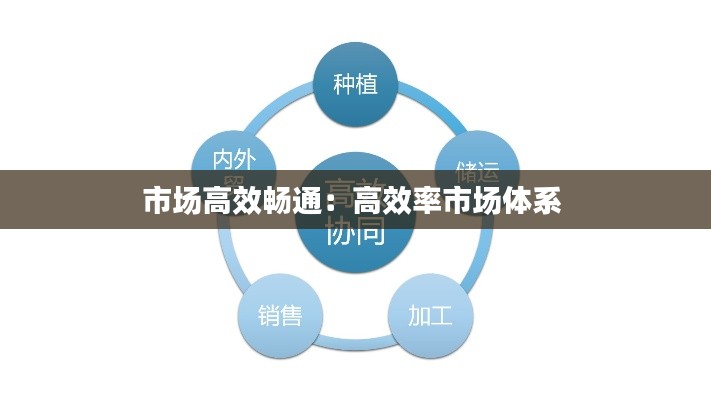 市场高效畅通：高效率市场体系 