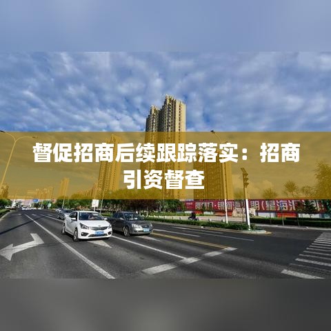 督促招商后续跟踪落实：招商引资督查 