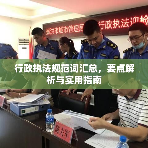 行政执法规范词汇总，要点解析与实用指南