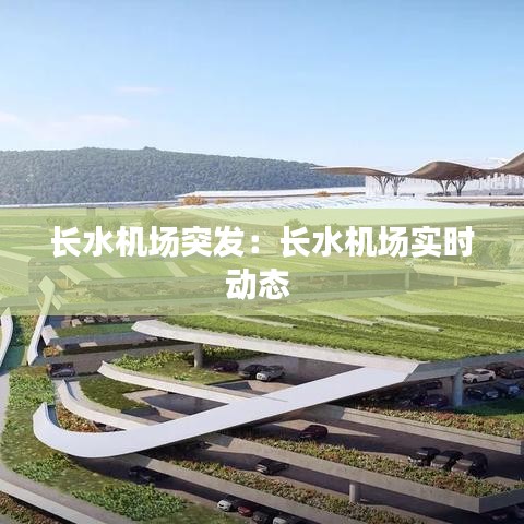 长水机场突发：长水机场实时动态 