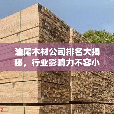 汕尾木材公司排名大揭秘，行业影响力不容小觑