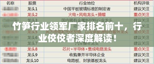 竹笋行业领军厂家排名前十，行业佼佼者深度解读！