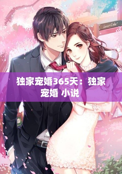 独家宠婚365天：独家宠婚 小说 