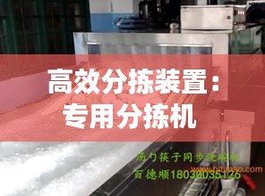高效分拣装置：专用分拣机 