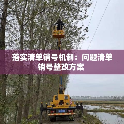落实清单销号机制：问题清单销号整改方案 