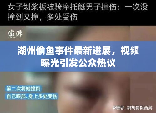 湖州偷鱼事件最新进展，视频曝光引发公众热议