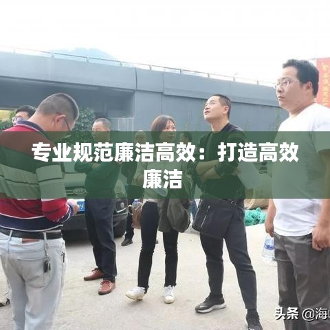 专业规范廉洁高效：打造高效廉洁 