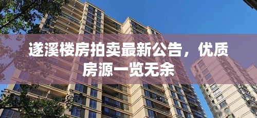 遂溪楼房拍卖最新公告，优质房源一览无余