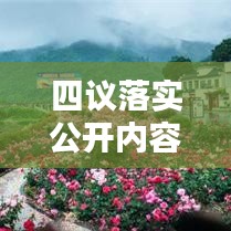 四议落实公开内容：四议四公开是什么意思 