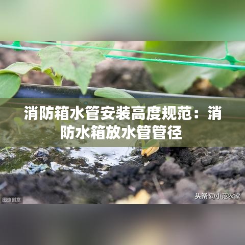 消防箱水管安装高度规范：消防水箱放水管管径 