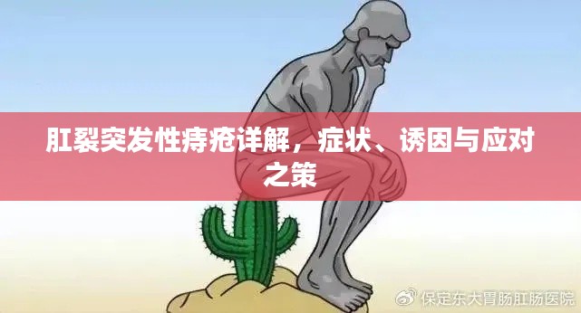 肛裂突发性痔疮详解，症状、诱因与应对之策