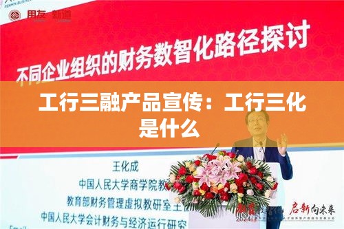 工行三融产品宣传：工行三化是什么 