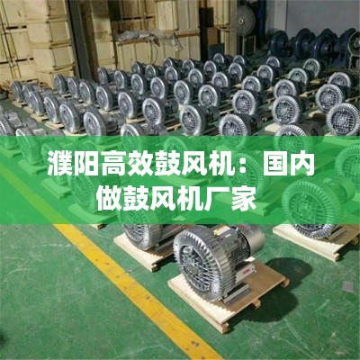 濮阳高效鼓风机：国内做鼓风机厂家 