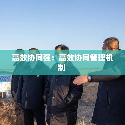高效协同强：高效协同管理机制 