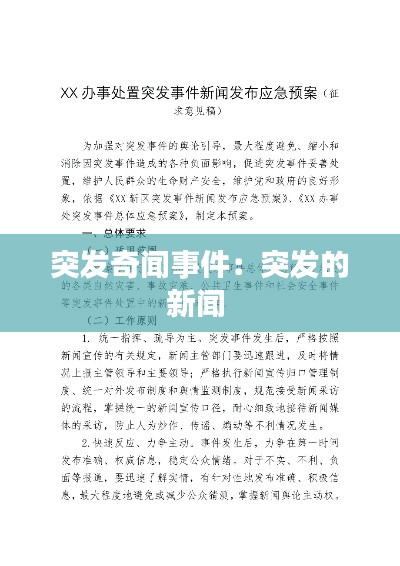 突发奇闻事件：突发的新闻 