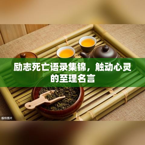 励志死亡语录集锦，触动心灵的至理名言
