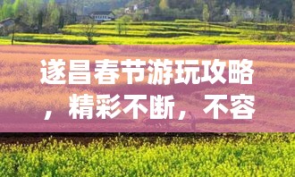 遂昌春节游玩攻略，精彩不断，不容错过的旅行计划！