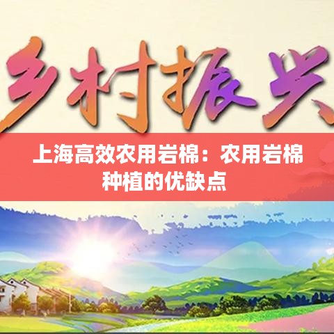 上海高效农用岩棉：农用岩棉种植的优缺点 