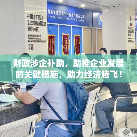 财政涉企补助，助推企业发展的关键措施，助力经济腾飞！