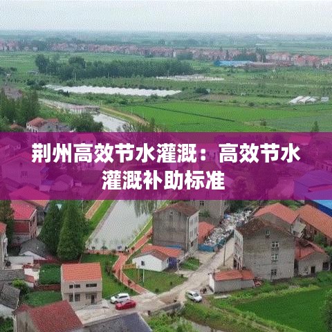 荆州高效节水灌溉：高效节水灌溉补助标准 