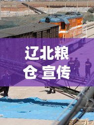 辽北粮仓 宣传视频：辽宁粮库现在收粮吗 