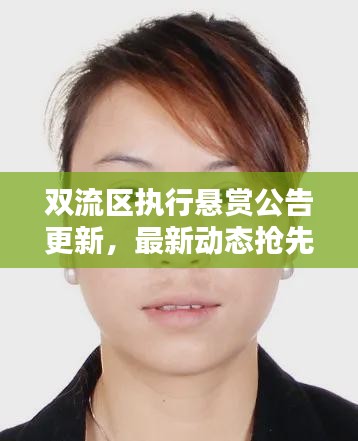 双流区执行悬赏公告更新，最新动态抢先看