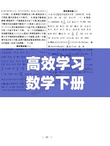 高效学习数学下册：高效课堂六年级下册数学答案人教版 