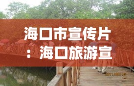 海口市宣传片：海口旅游宣传片 