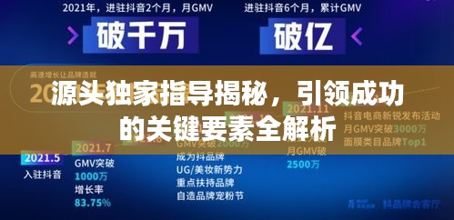 源头独家指导揭秘，引领成功的关键要素全解析