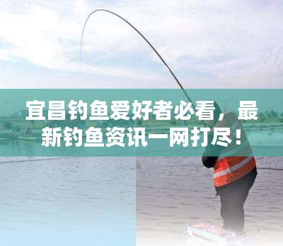 宜昌钓鱼爱好者必看，最新钓鱼资讯一网打尽！