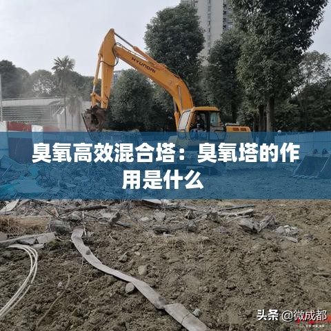 飞蝗芜湖 第2页