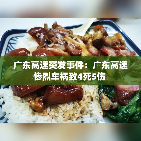广东高速突发事件：广东高速惨烈车祸致4死5伤 