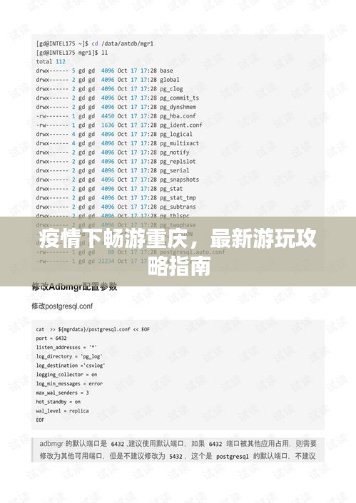疫情下畅游重庆，最新游玩攻略指南
