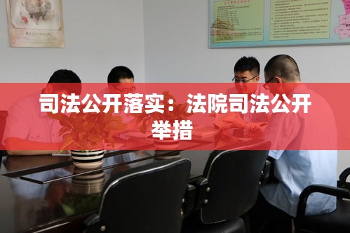 司法公开落实：法院司法公开举措 